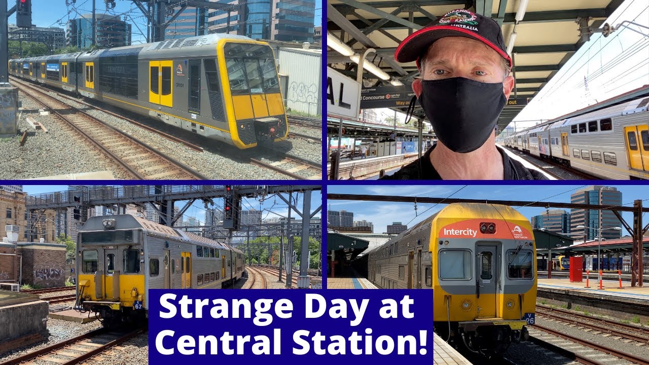 Strange Day at Central Station | RTBU Industrial Action | K Sets, V Sets & Tangara's. No Waratahs!