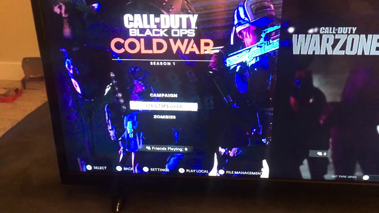 Call of duty Cold War zombies and campaign unavailable fix