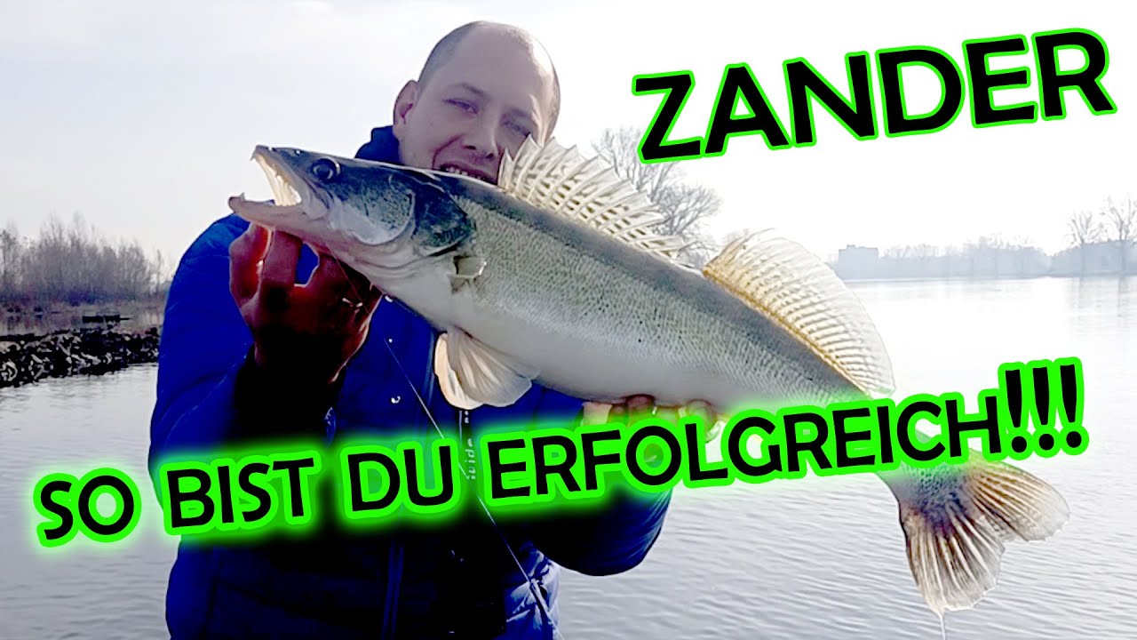Erfolgreich auf Zander vom Boot Tipps Tricks und Spa&szlig;