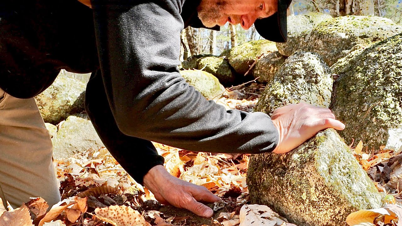 Dig where the rock walls come to a corner and you will find old stuff