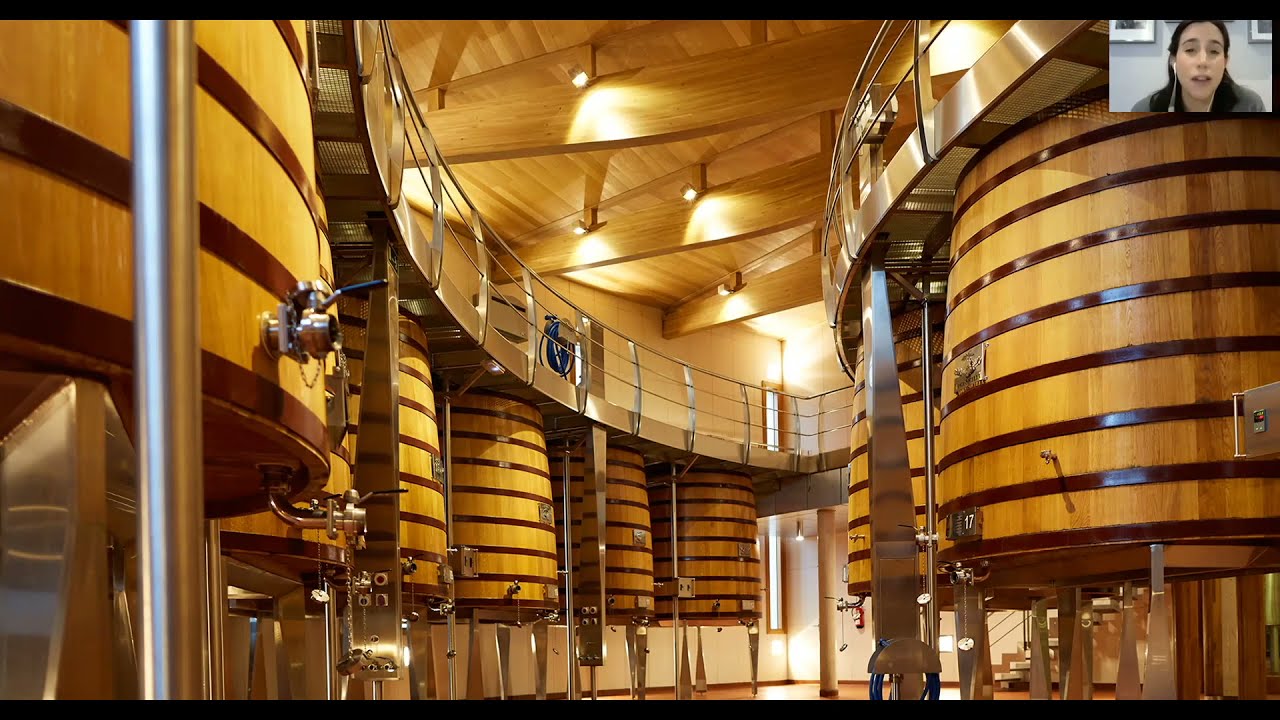 Vint | Vega Sicilia Interview: What Makes Unico Great, Vines, Vintages, & More!
