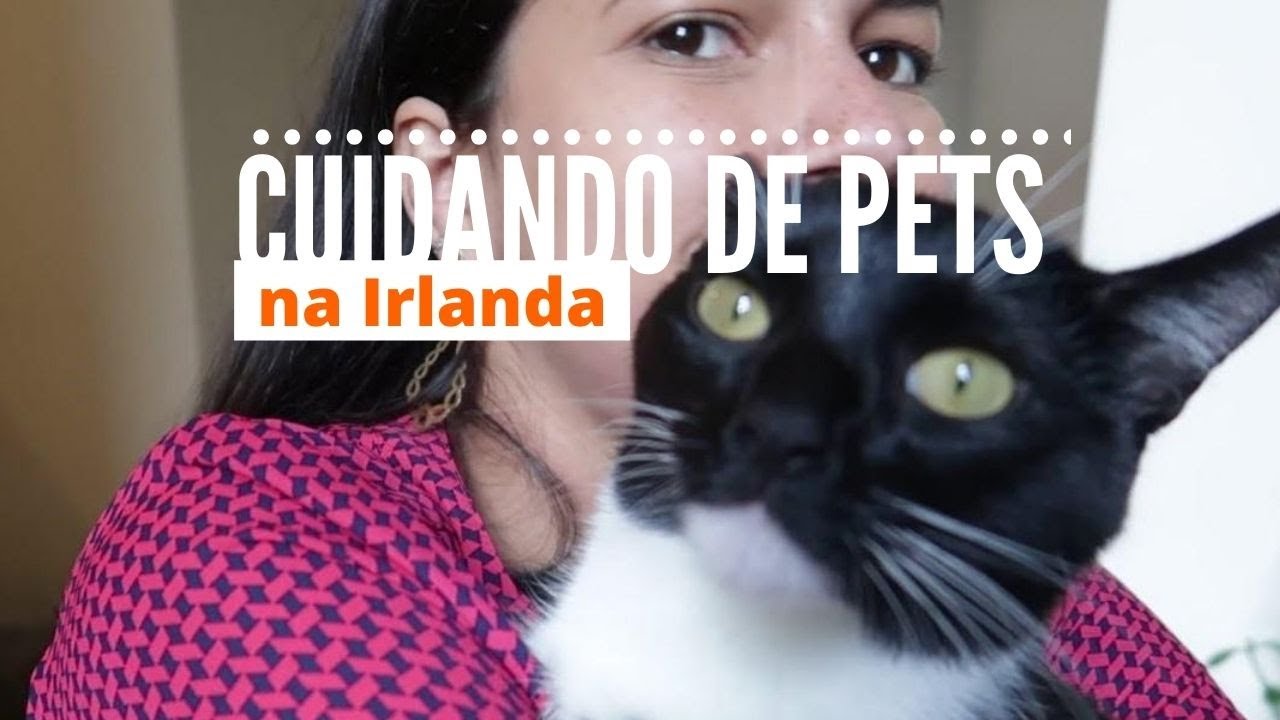 Cuidando de PET na Irlanda - site Pawshake e PREÇOS DE RAÇÕES em Limerick • Virgínia Fortunato