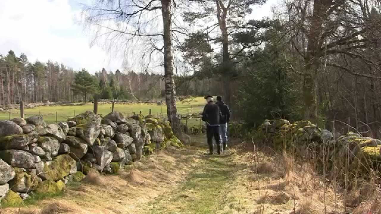 H&auml;lles&aring;ker natur & kulturstig, Lindome. Vandringstips
