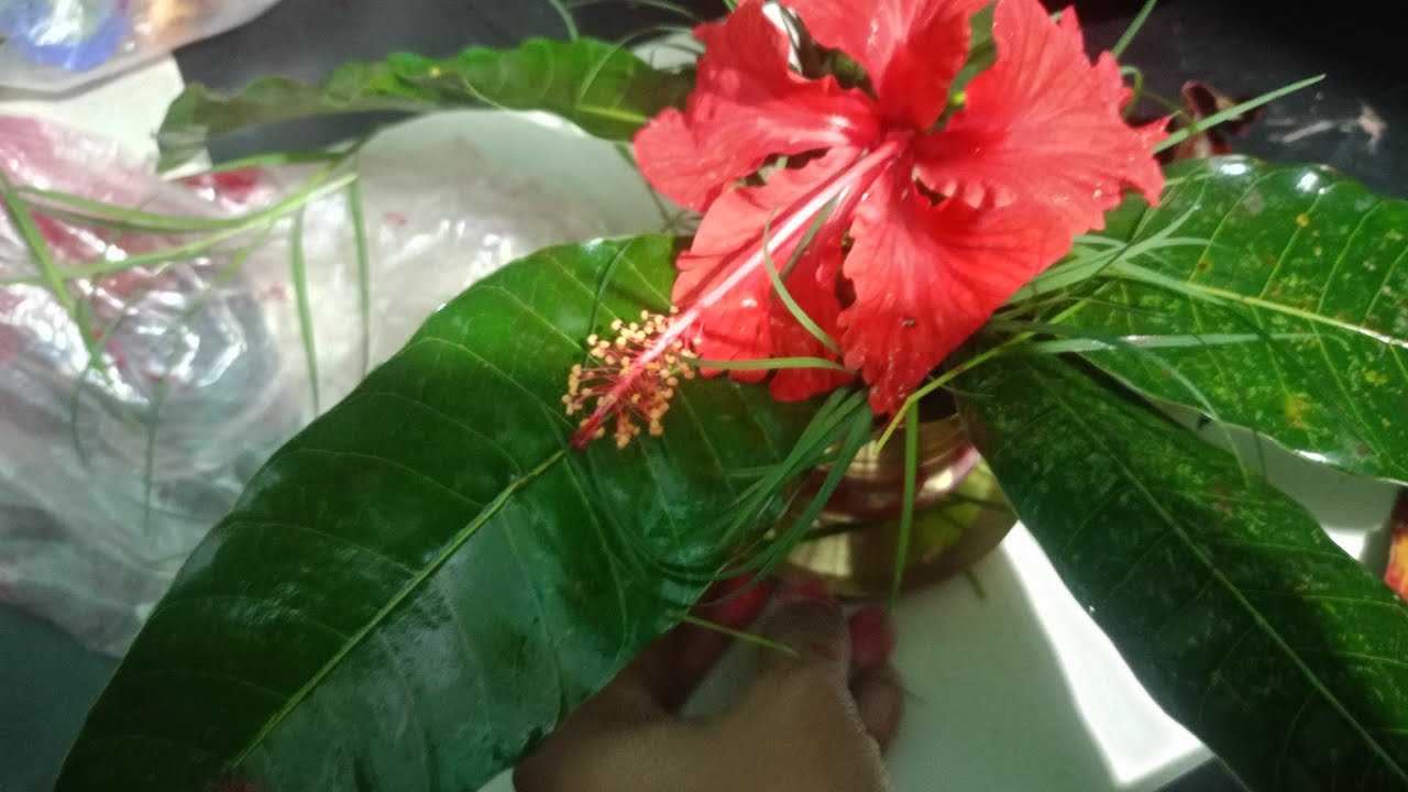বৃহস্পতিবার লক্ষ্মী বারে,,, সমস্ত কাজকর্ম পুজো দেওয়া শেষ করে, তোমাদের সাথে একটু গল্প করতে আসলাম