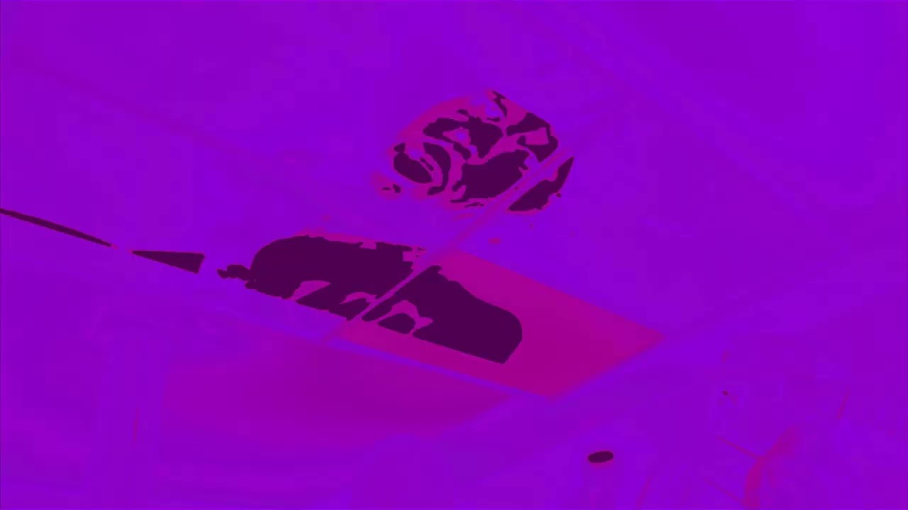 Hoodrich Pablo Juan - FDO (¥£$ Video Rmx)