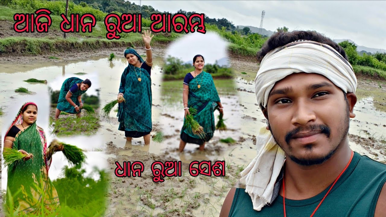 ଆଜି ଆମର ବିଲ କାମ ଆରମ୍ଭ ହେଲା ଆଉ ସରି ଗଲା 🥰 #smiling_sulachana_48 #villagelife