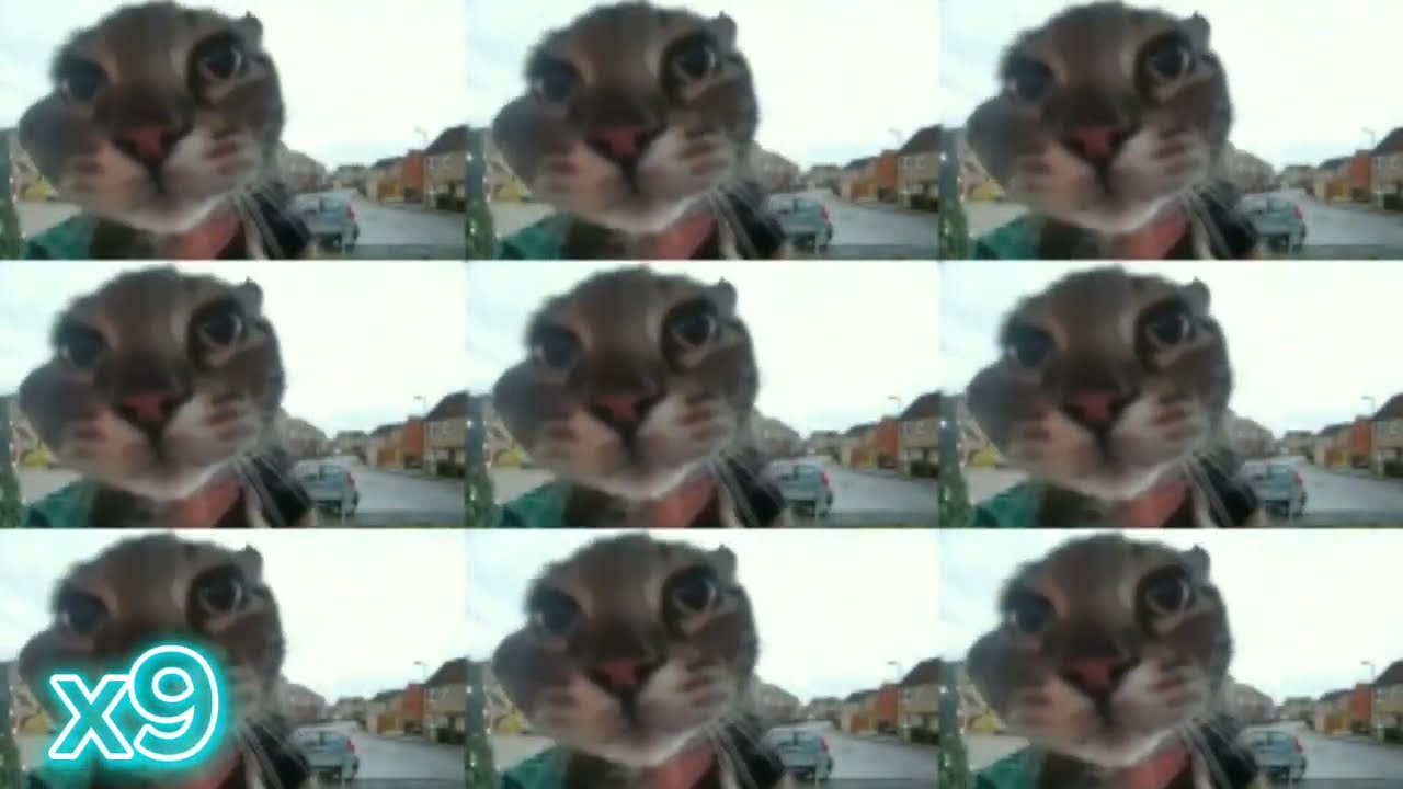Meow x1, x4, x9, x81, x729, x6561, x59049