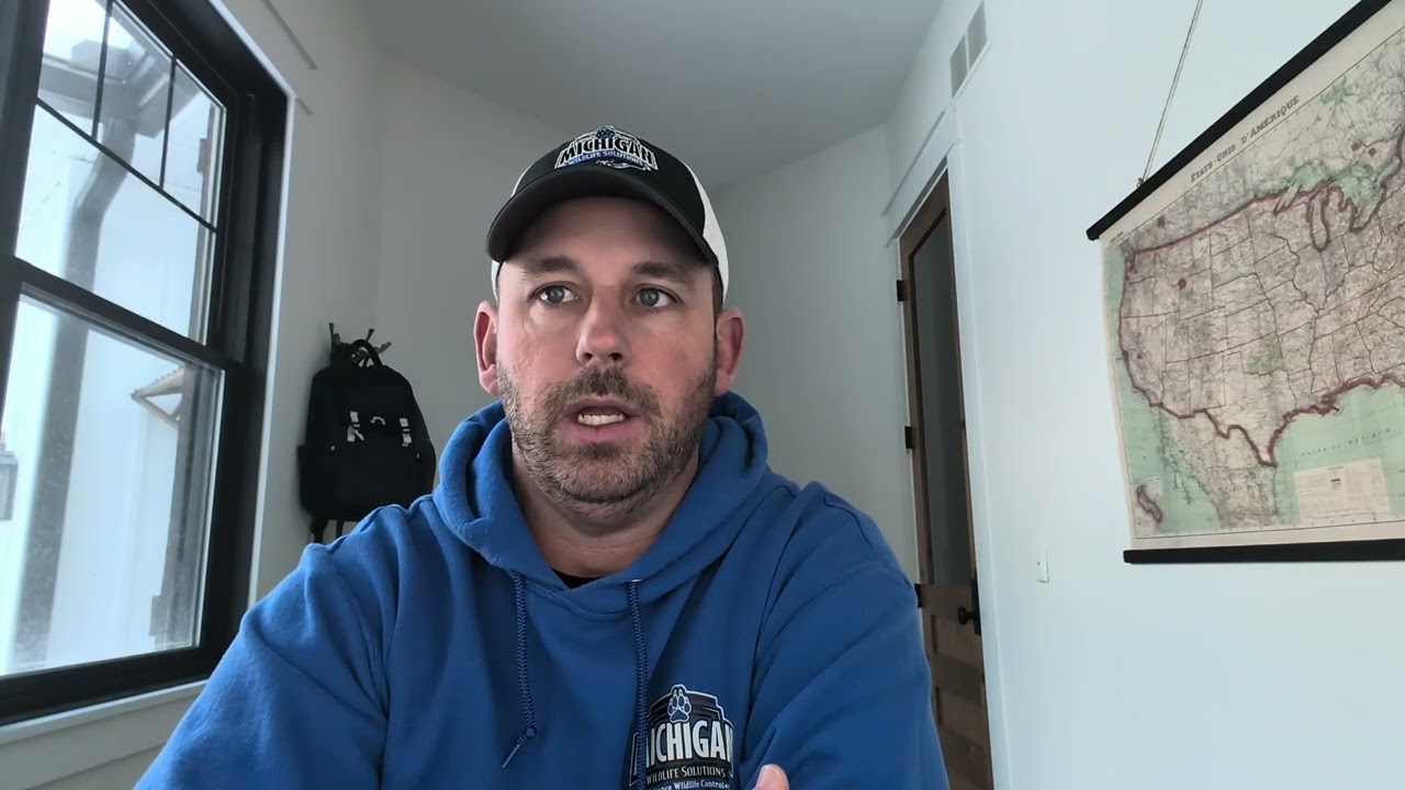 How much is pest control for mice?