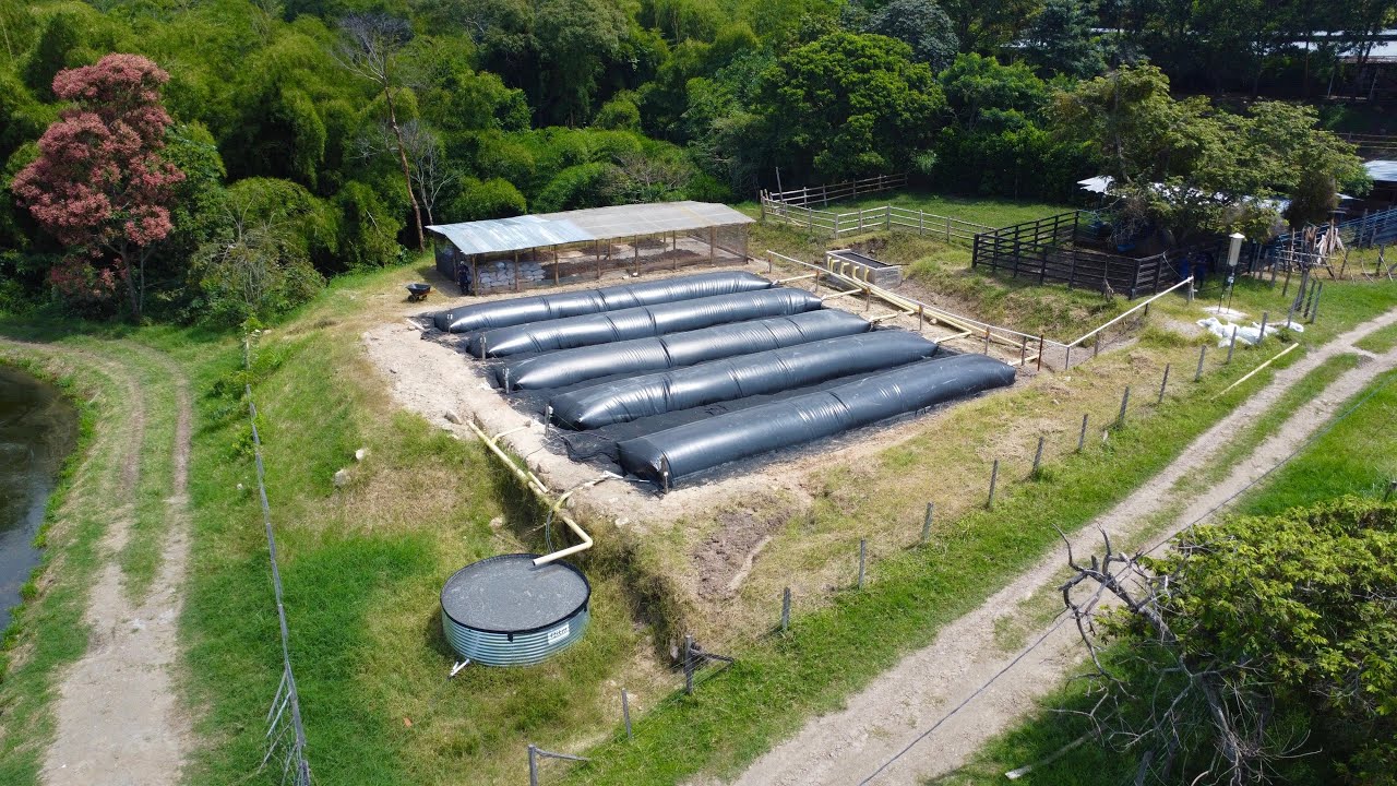 Multireactor de biodigestores en Granja Porcícola #colombia