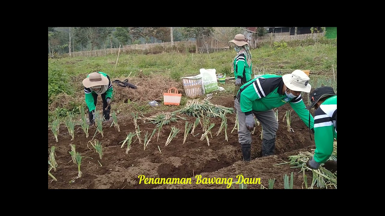 MAGANG GURU VOKASI PENGGERAK ANGKATAN 1 -  DI CV. ARJUNA FLORA