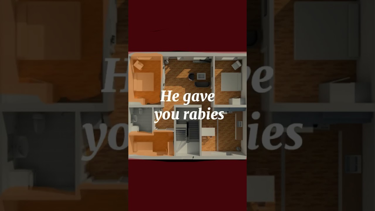 Rats angry🫣 #fypシ #rat #hide
