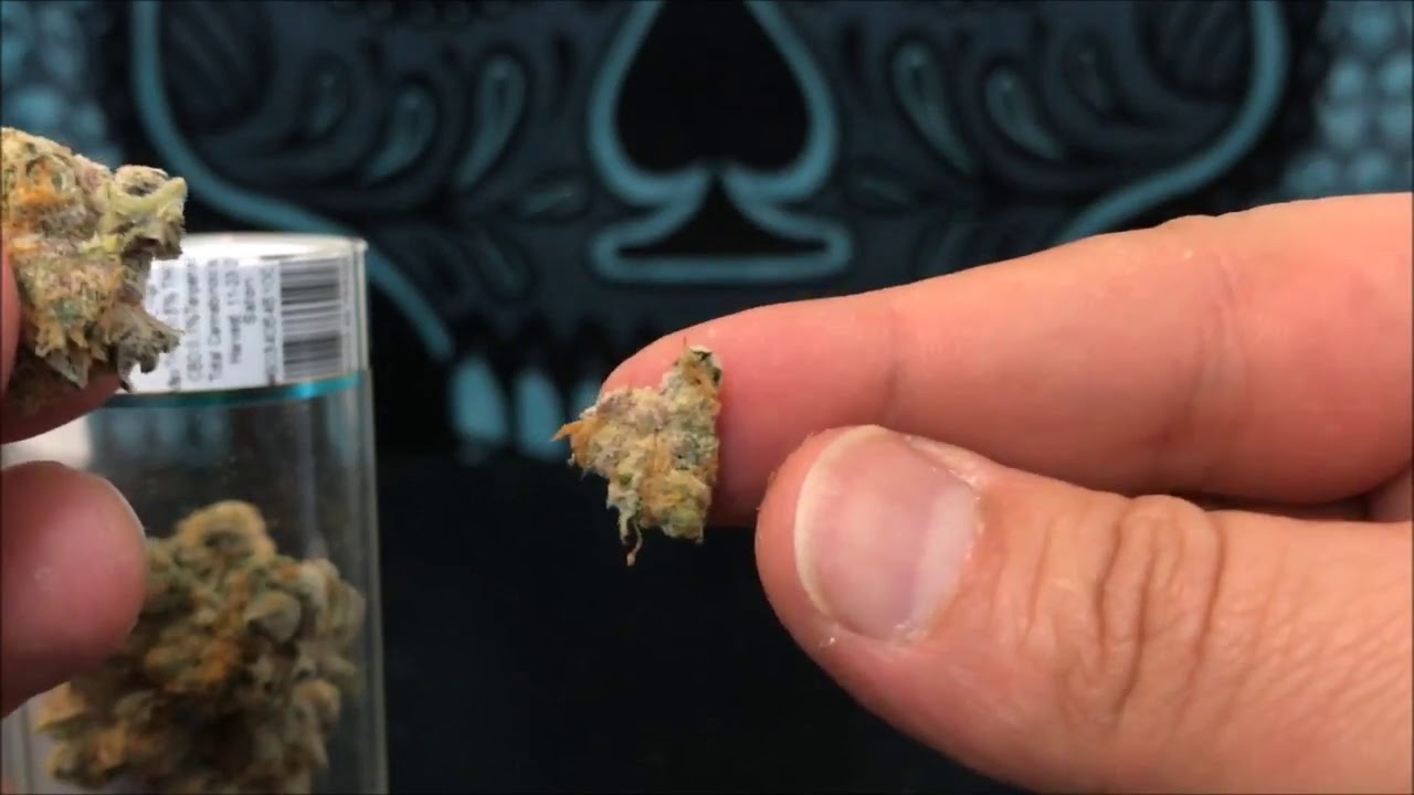 Blue Cookies By Blue Roots Recreational Cannabis Review