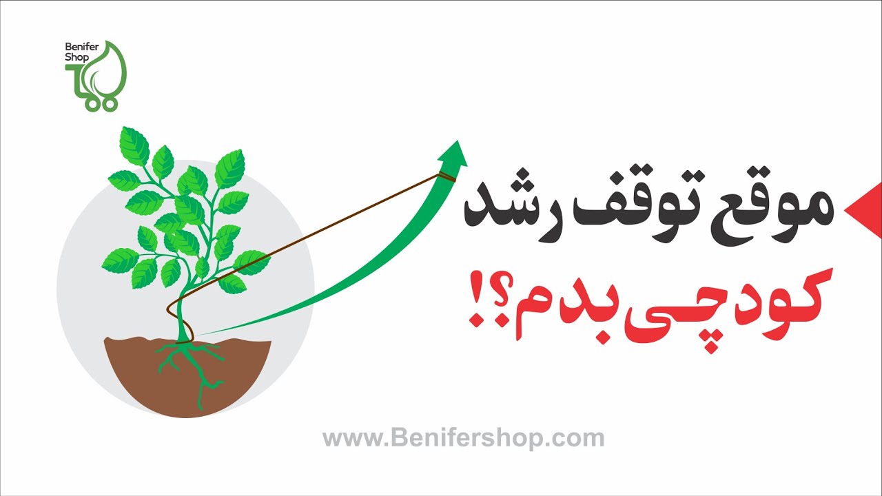 موقع توقف رشد گیاه و درخت کود چی بدم؟ بهترین تغذیه با کود محرک رشد بنیفر