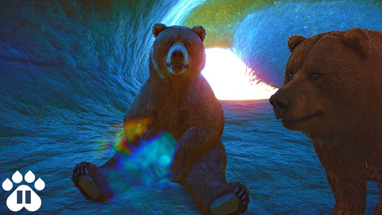 Adding Himalayan Brown Bears to our Eco-Zoo | Planet Zoo Franchise Mode Ep17