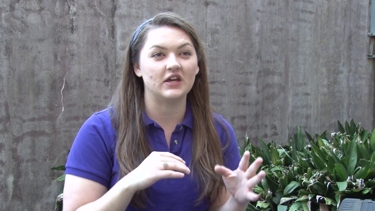 Students concerned with crime at off-campus housing complexes