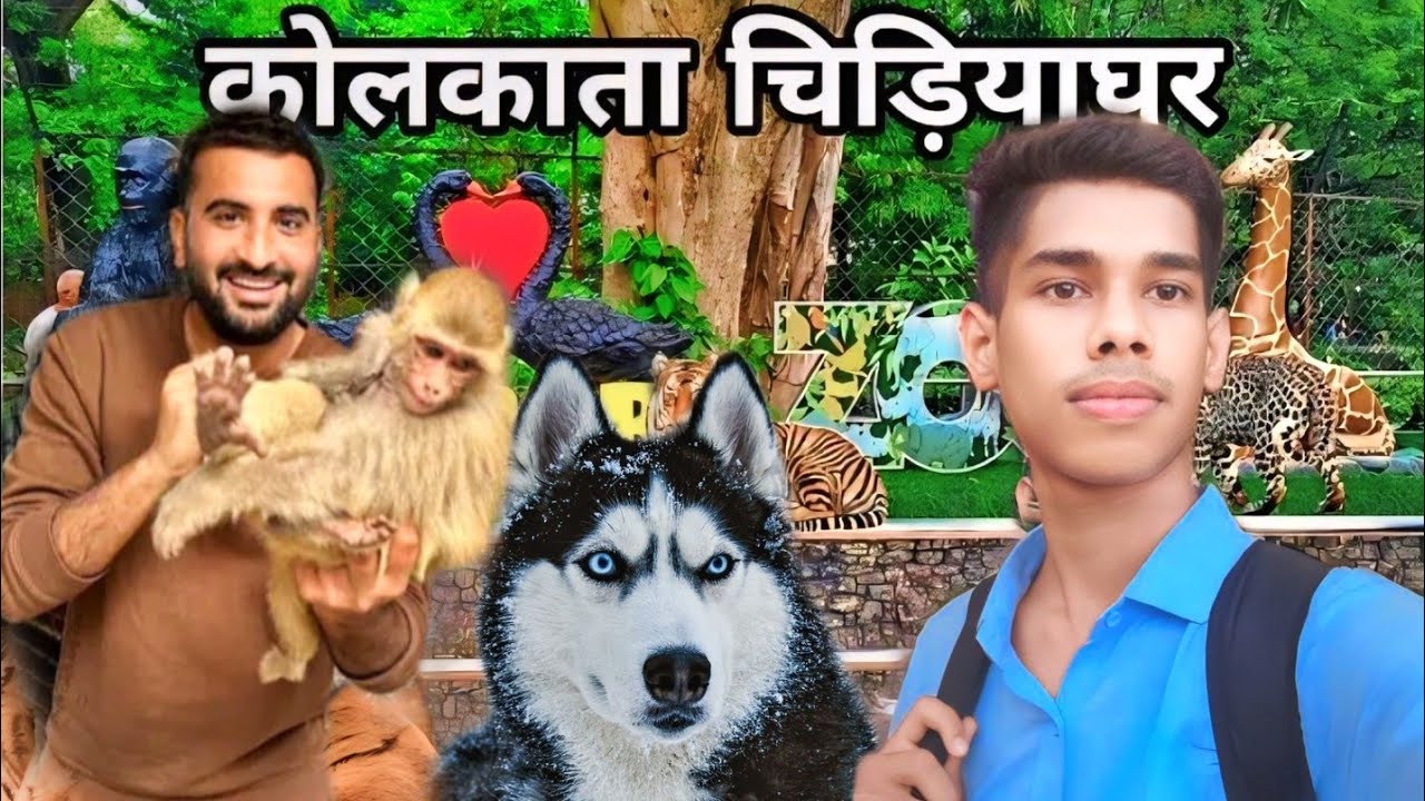 Kolkata Zoo Zoological Garden, Alipore //chaliye sath mein ghumte hain 😍