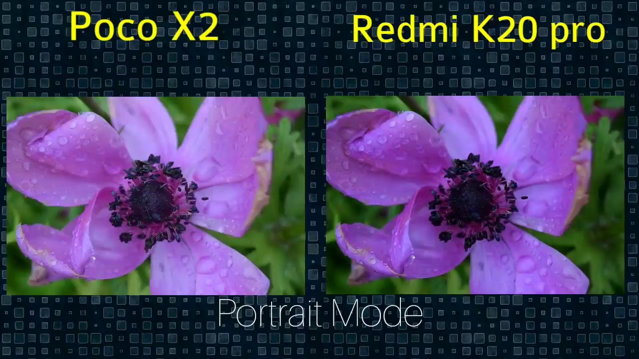 Poco X2 vs Redmi K20 Pro Camera Comparison