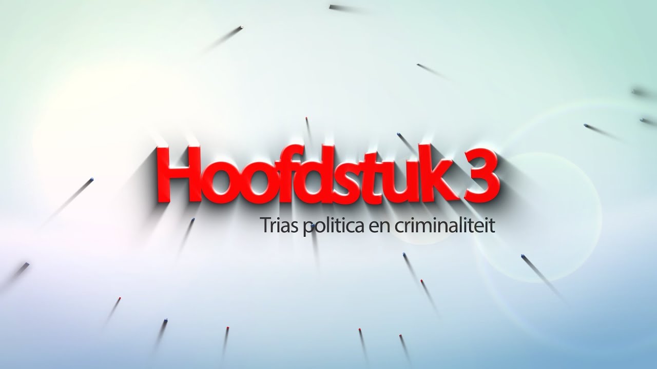 Criminaliteit en Rechtsstaat: 3.2 Uitvoerende macht