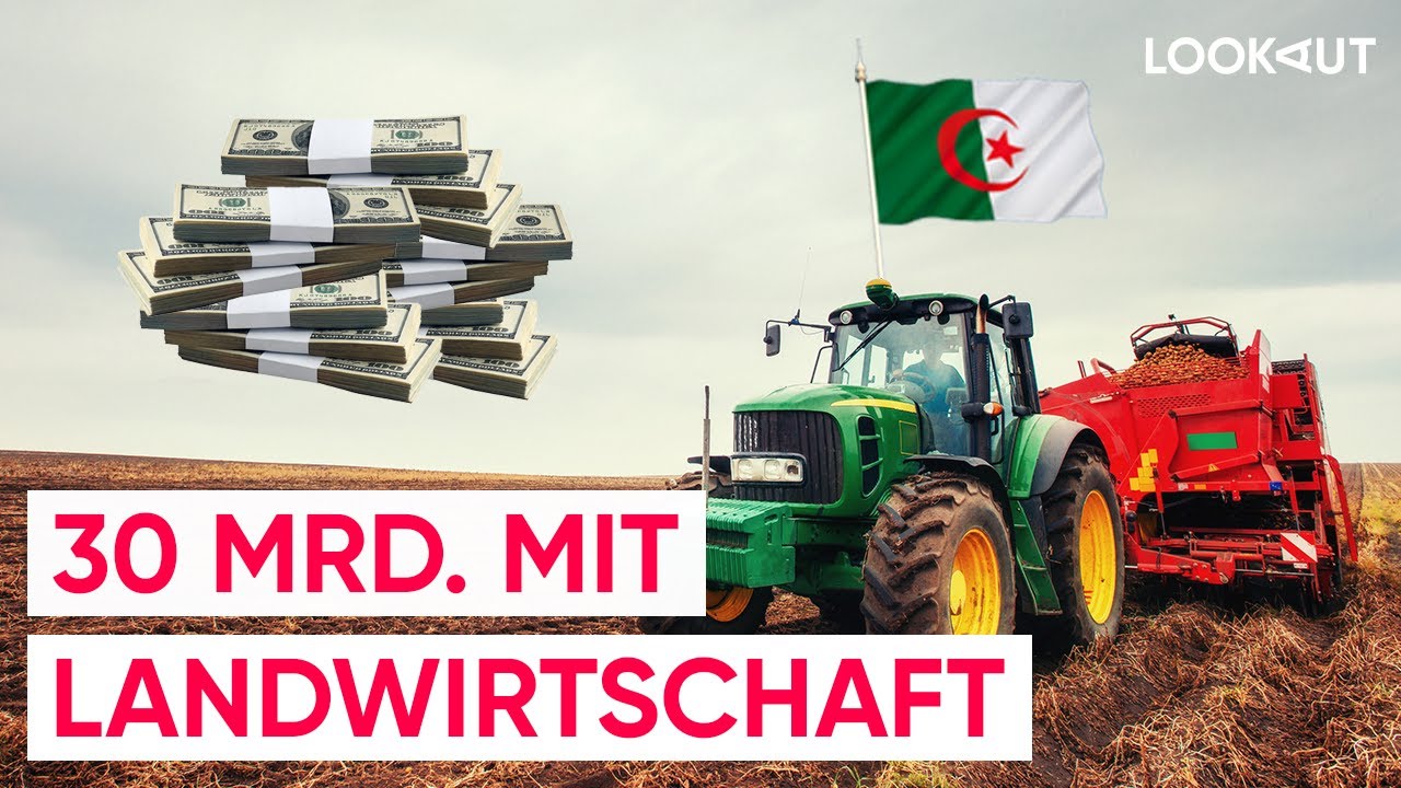 Algerien säht die Zukunft: Landwirtschaft als Wirtschaftsmotor