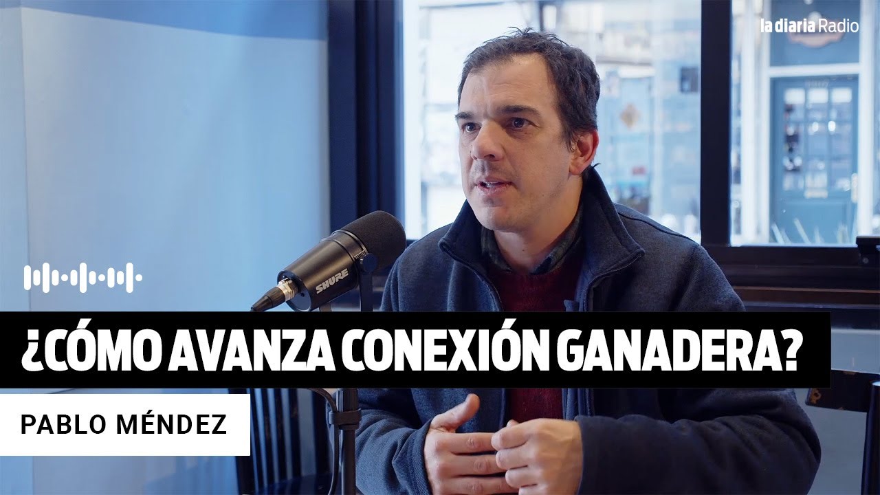 ¿Cómo avanza la causa de Conexión Ganadera?