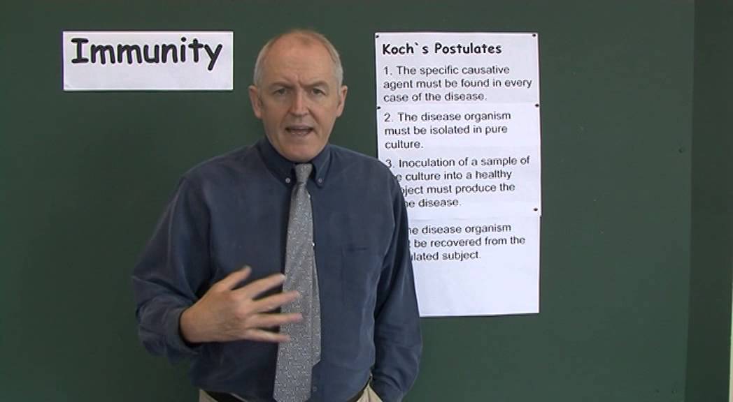 Immunity 8, Koch's Postulates