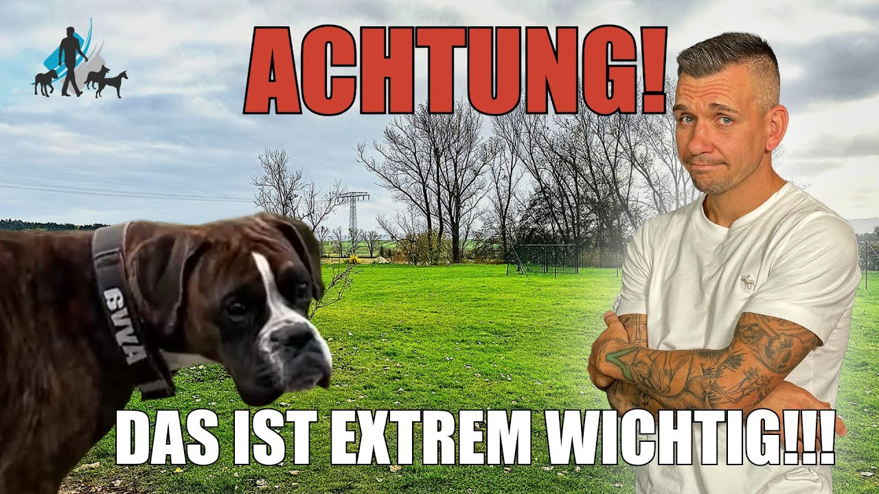 Hundebesitzer untersch&auml;tzen diese Kleinigkeit!