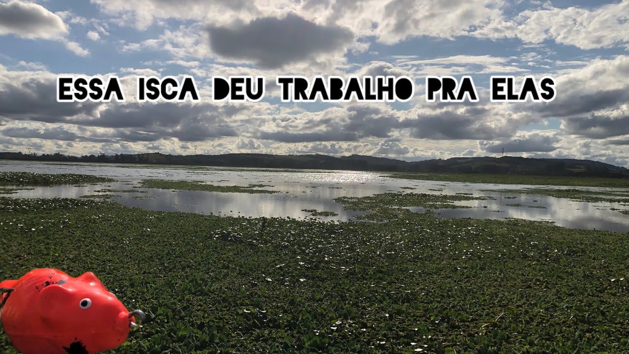 PESCA DE TRAÍRA em Santo Antônio – Local de livre acesso! #traira
