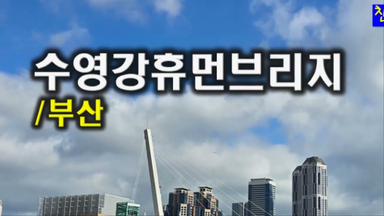 수영강휴먼브리지/부산