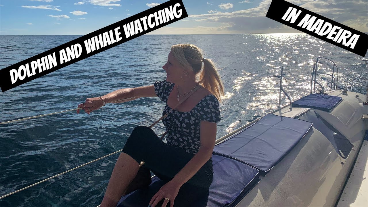 Whale and Dolphin Watching Tour in Funchal Madeira Portugal AMAZING !!