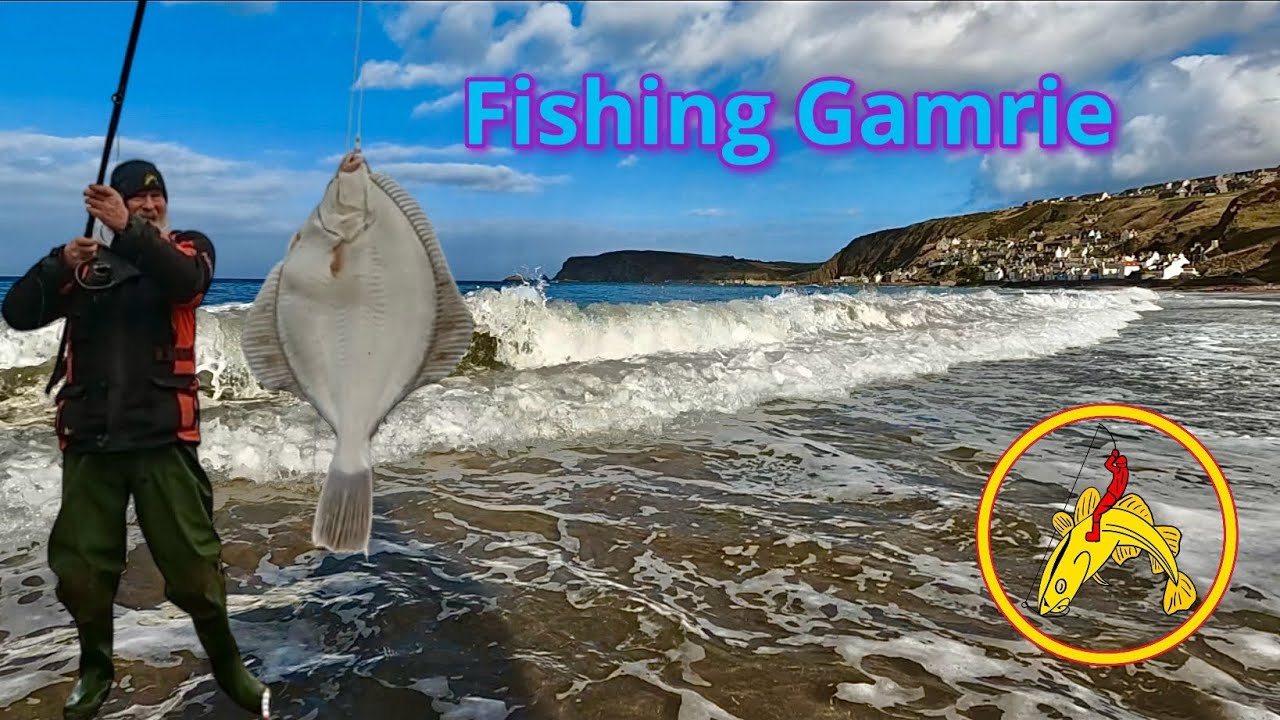 Рыбалка в Гарденстауне: РЫБА И ВСЕ ТОВАРЫ: Абердиншир: Шотландия 🎣