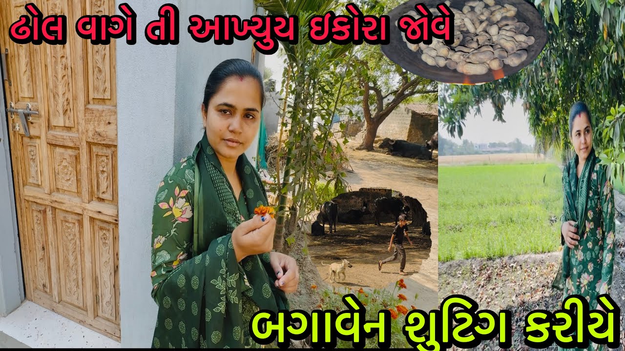 બગાવેન શુટિગ કરે || ઢોલ વાગેતી આખ્યુય ઇકોરા જોવે✅RR Life //@ Gujarati village life vlog