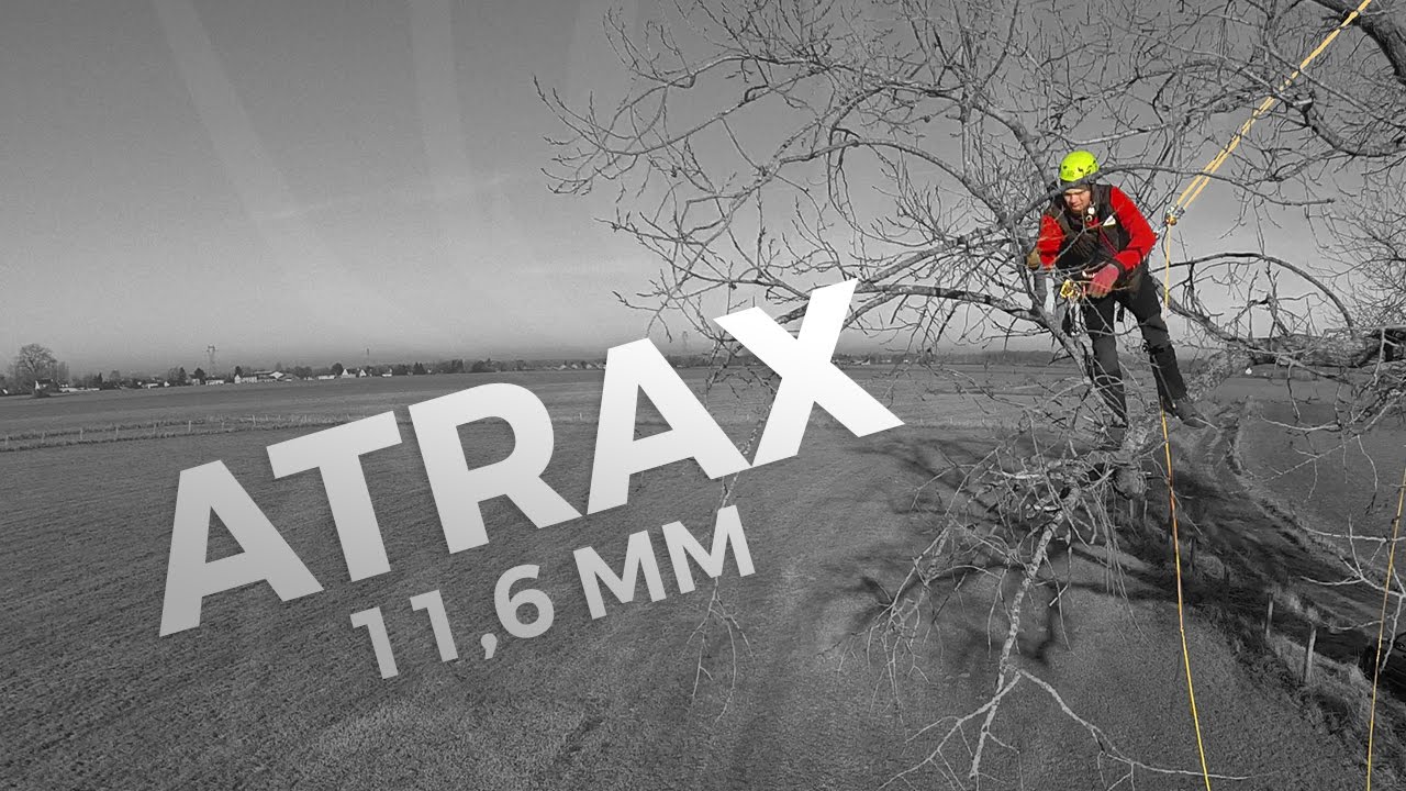 Cousin Trestec - Atrax 11,6 mm