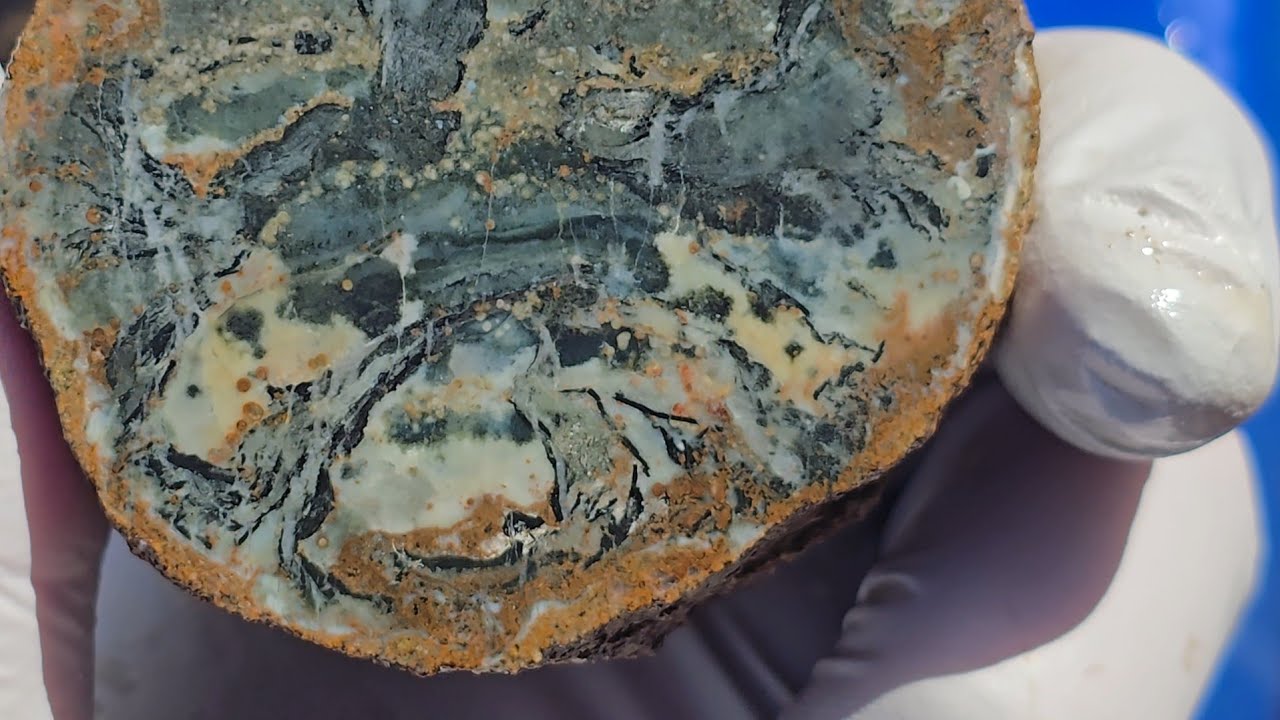 Amazing Day Finding Jasper Limb Casts, Blue Agates, Petrified Wood and Calcite Crystals in Oregon