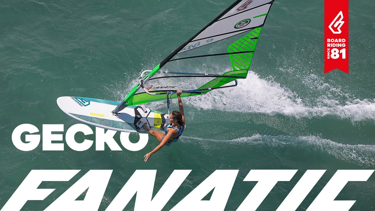 Fanatic Gecko 2017