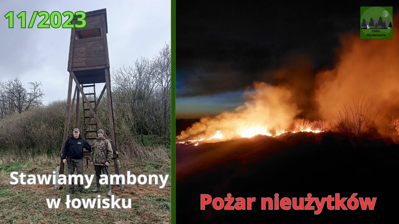 LEŚNE MYSZKOWANIE- 11/2023 Stawiamy ambony i pożar nieużytk&oacute;w