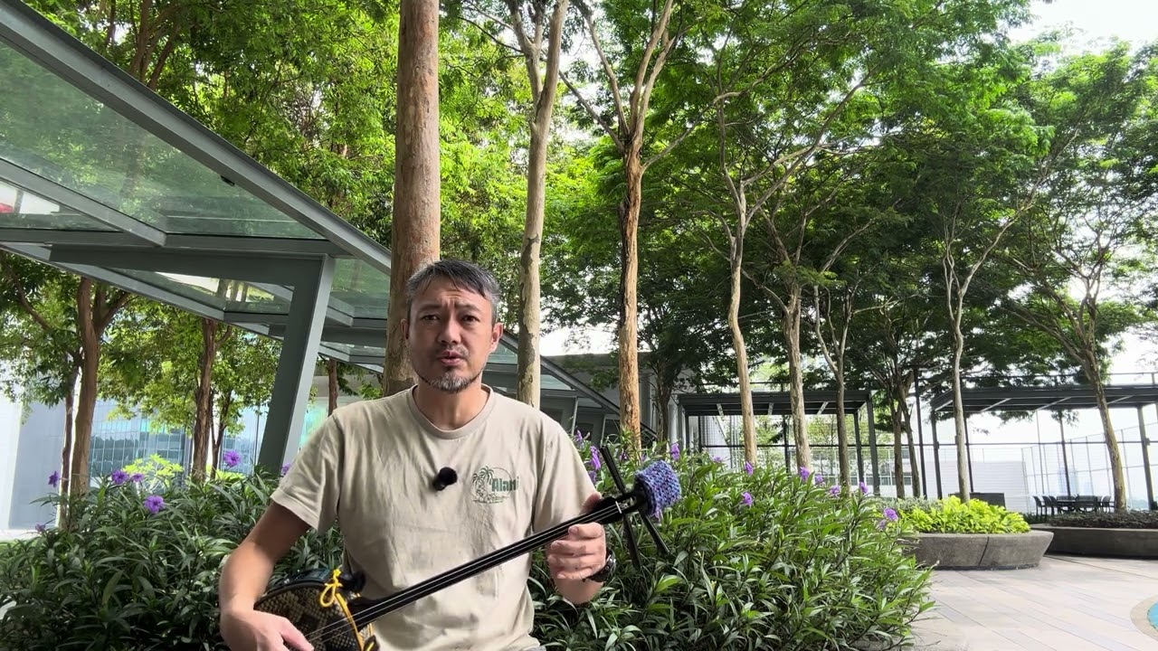マレーシア🇲🇾で柳情話