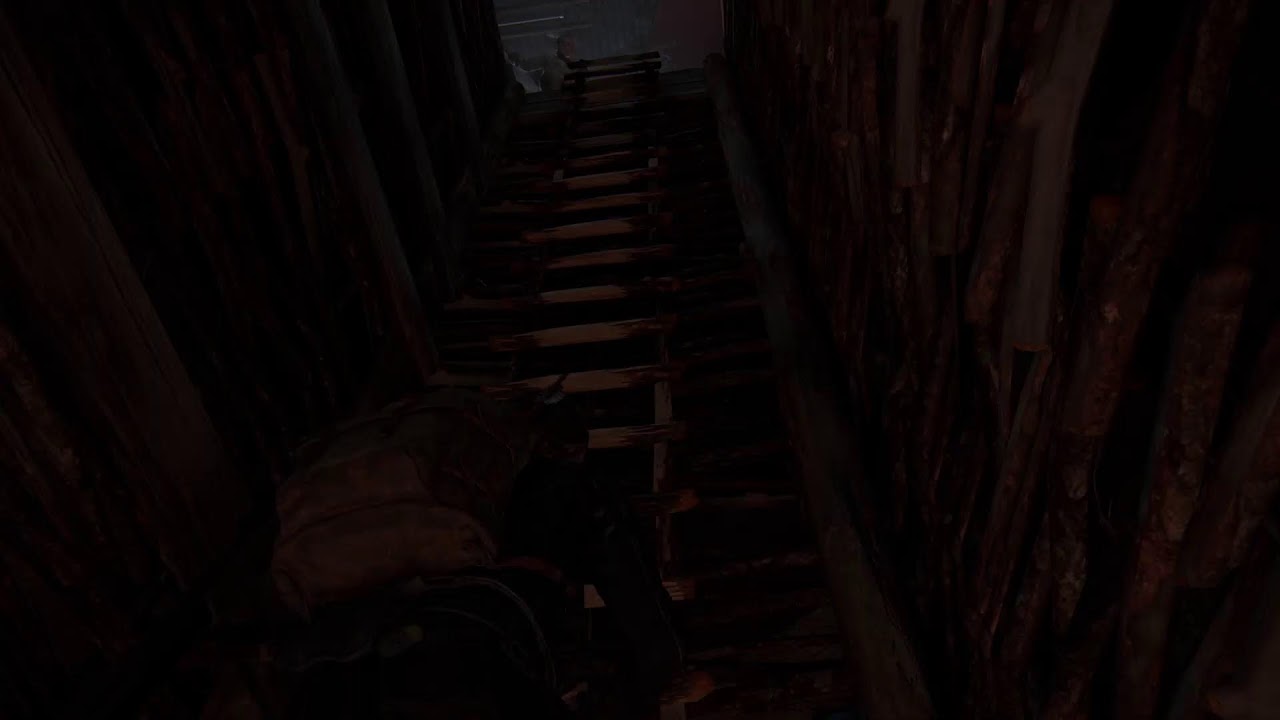 The last of us part 2 remastered