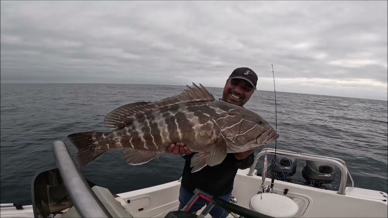 The Hunt for the White Grouper