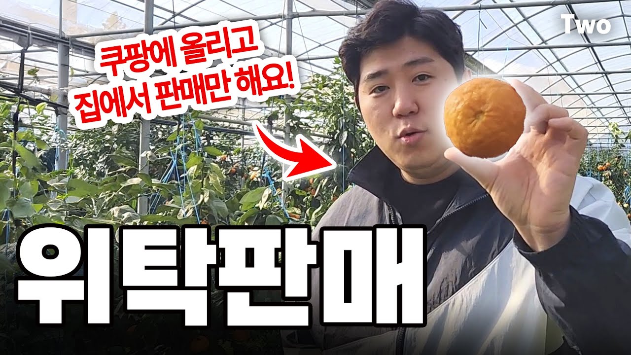방구석에서 과일위탁판매로 월 1억 찍은 40대 회사원 