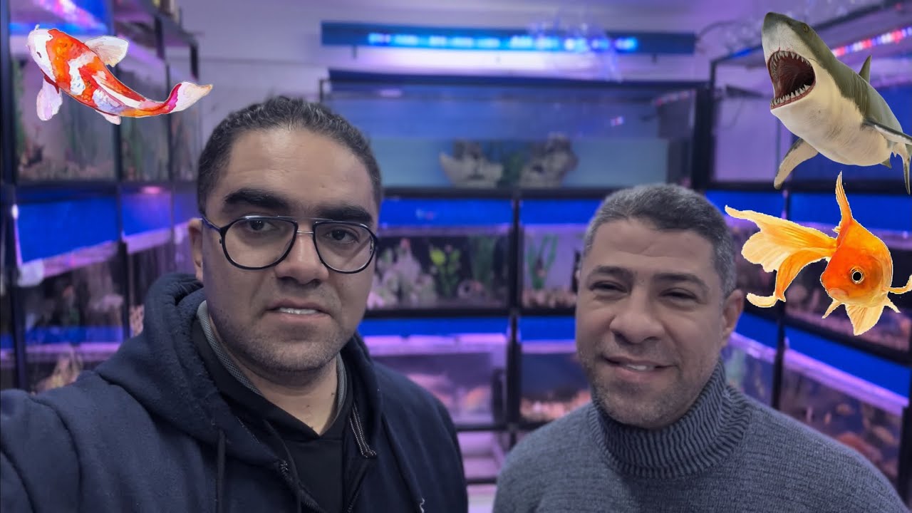 افتتاح المحل الجديد مع المخضرم مصطفى شبانه  🐬الجزء الأول عروض وتخفيضات على جميع انواع اسماك الزينه