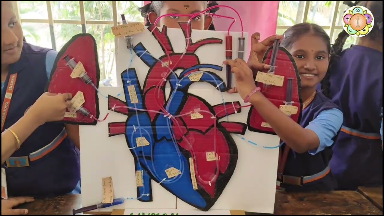 Sri Sathya Sai Gurukulam E.M School- Science Festival