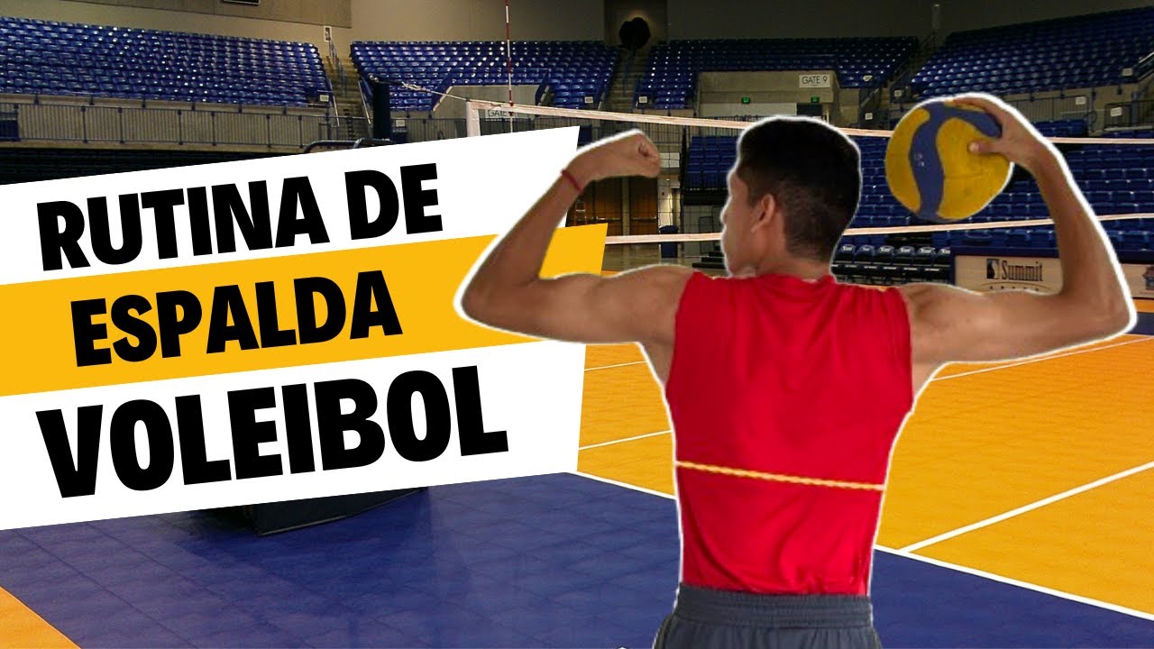 Cómo Fortalecer tu Espalda como Voleibolista