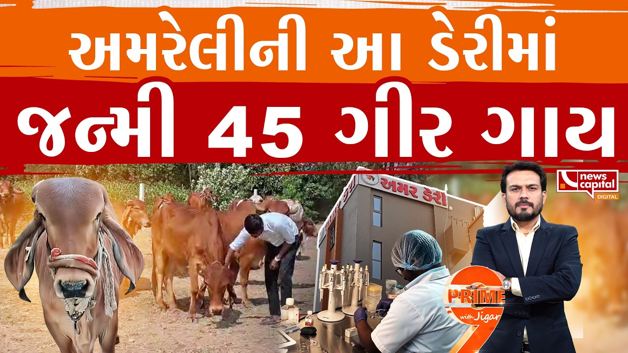 વિજ્ઞાન અને પરંપરાનું 'અમર'ત્વ