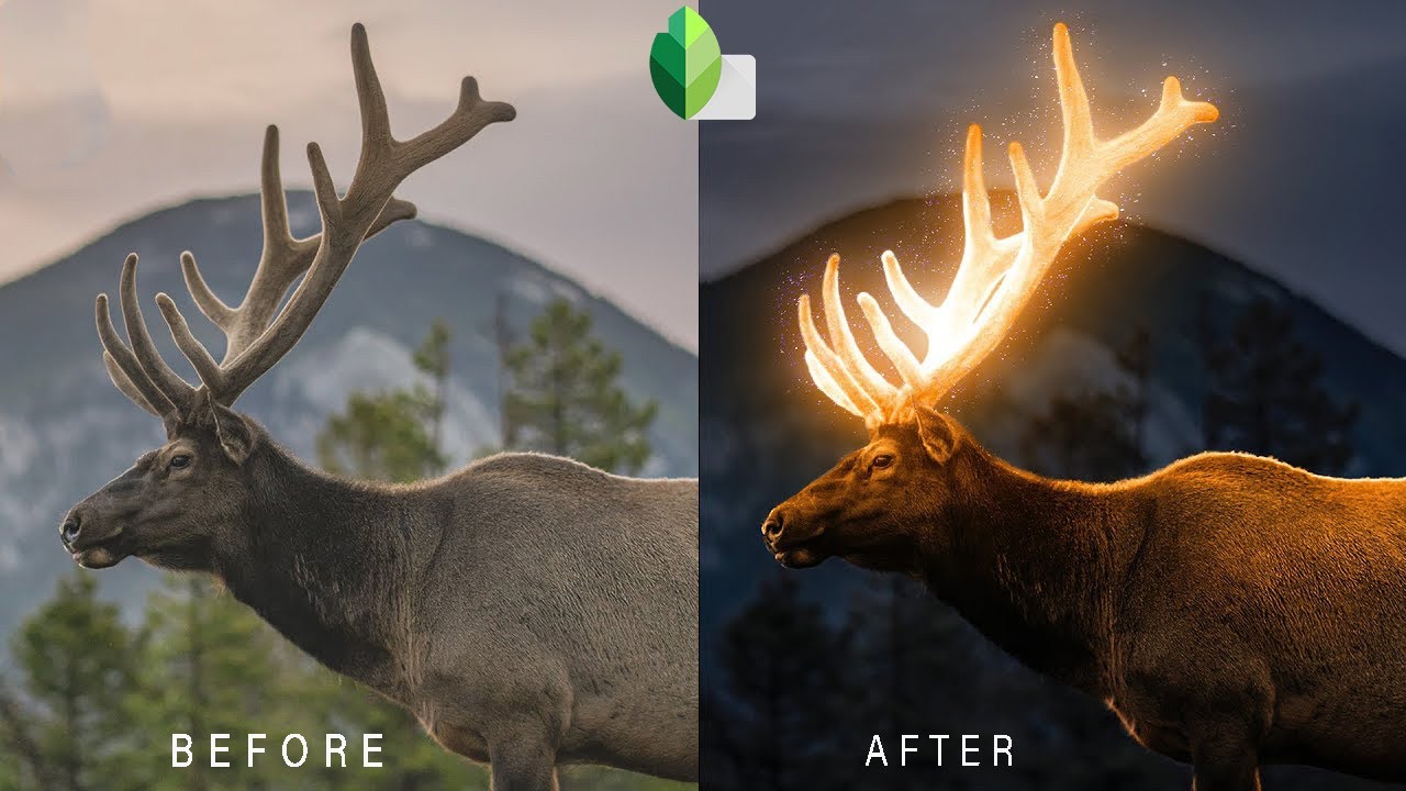 Glow Effect - Snapseed Tutorial | Glowing Effect Photo Editing