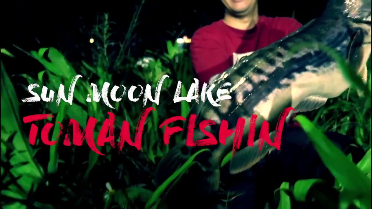 Fishing Traveler - 2018 Taiwan Toman Hunting