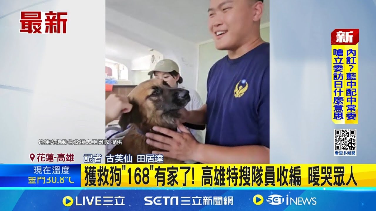 獲救狗