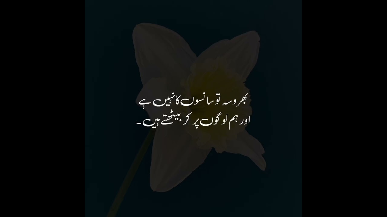 Best Urdu Quotes | Urdu Islamic Quotes | Best Quotes About Life | Motivational Quotes