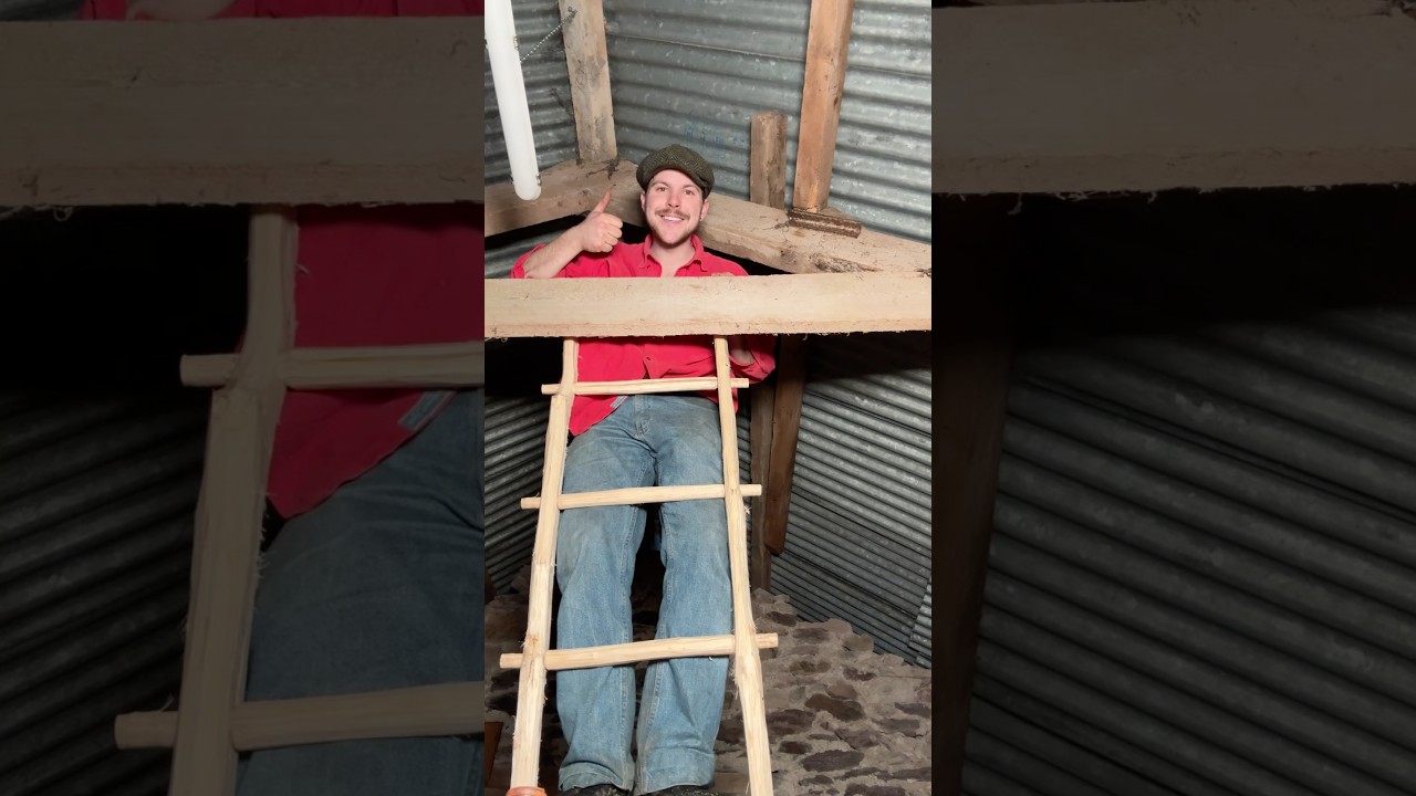 Making a ladder #woodworking #ladder #oak #ireland