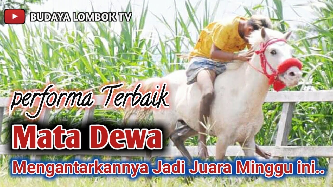 Performa Terbaik MATA DEWA Mengantarkannya Jadi Juara || Pacuan Kuda Sasake Budaya Lombok Tv
