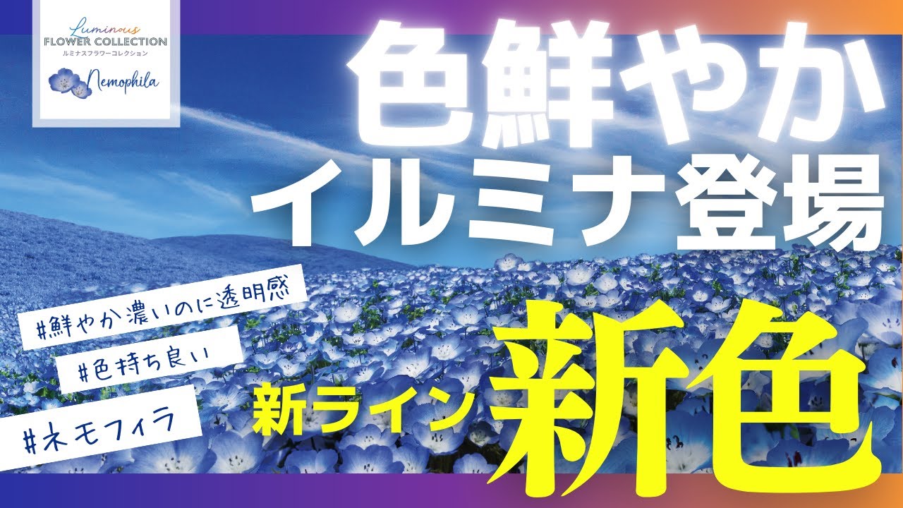 【イルミナカラー】新色は別物だった｜新ラインの特徴と新色ネモフィラの色とは？